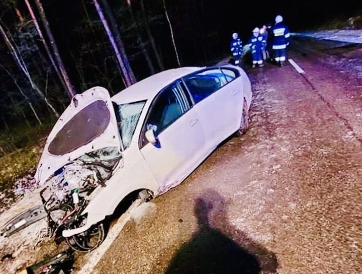 SULEJÓW. Samochód uderzył w drzewo. Ranny kierowca uciekł z miejsca wypadku