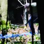 GRABSZCZYZNA. Wiemy czyje zwłoki odnaleziono w lesie pod Strachówką.