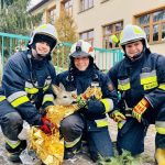 MARKI. Strażacy uratowali uwięzioną w ogrodzeniu sarenkę.
