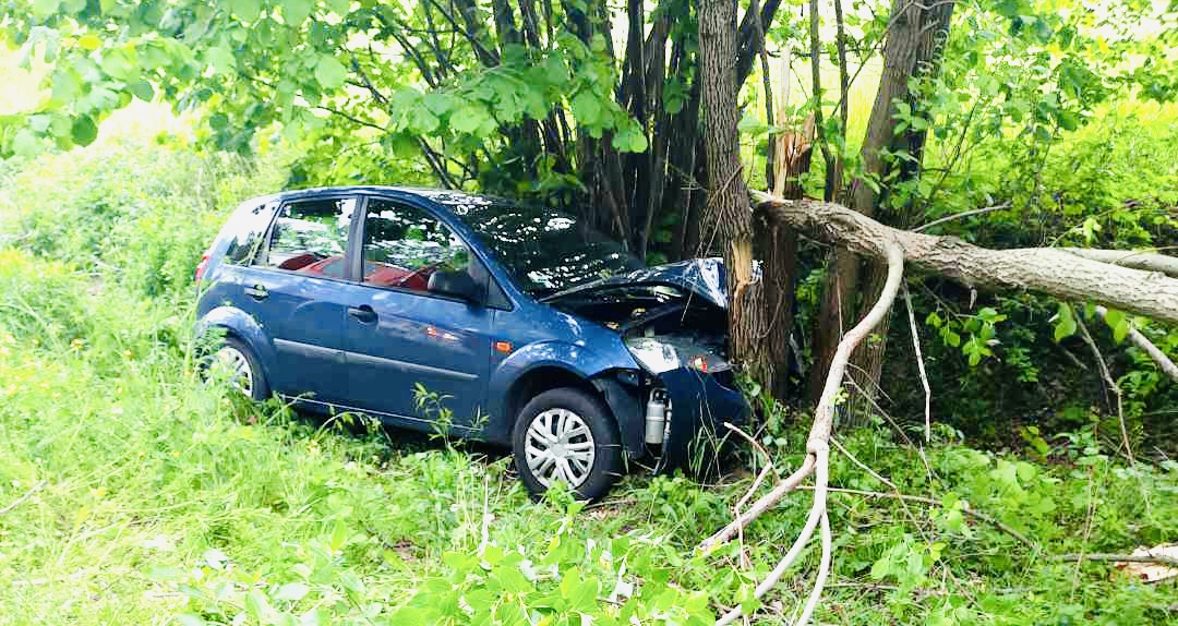 KLEMBÓW. Starsza kobieta jadąca Fordem wypadła z drogi i uderzyła w drzewo.  